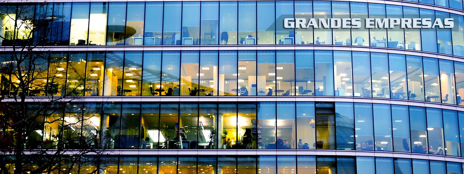 Seguridad grandes empresas